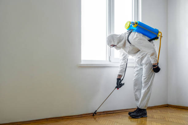 Best Best Pest Control Companies  in Oakland, CA