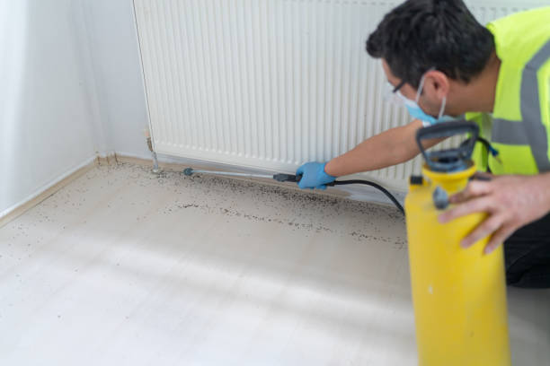 Best Pest Inspection Near Me  in Oakland, CA