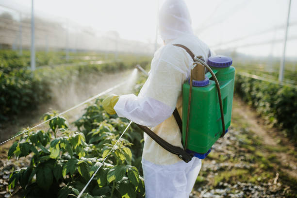 Best Cockroach Control Services  in Oakland, CA